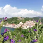 Villa Eximia Novigrad Novigrad (Dalmatia)