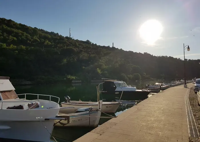 Eximia Novigrad * Novigrad (Dalmatia)