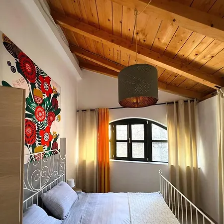 Vila Eximia Novigrad