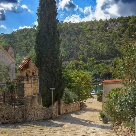 Villa Eximia Novigrad *