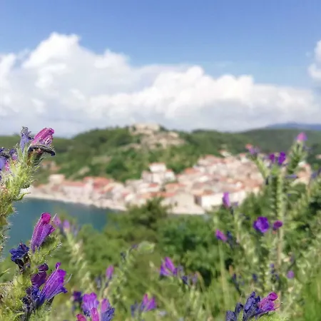 Vila Eximia Novigrad Novigrad (Dalmatia)