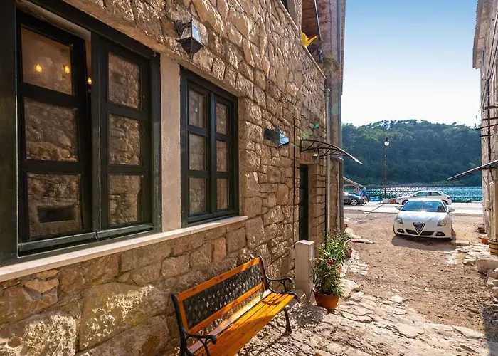 Eximia Novigrad Villa *