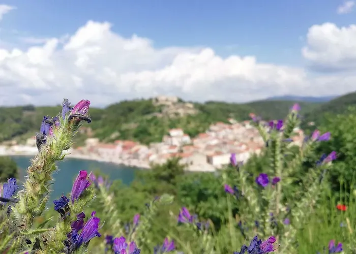 Villa Eximia Novigrad Novigrad (Dalmatia)